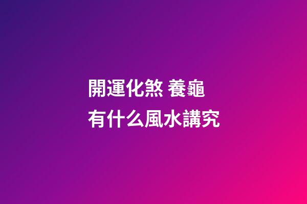 開運化煞 養龜有什么風水講究